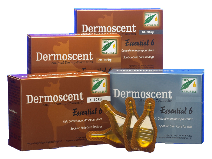 Dermoscent Essential 6 Spot-on Chat 4 Pipettes